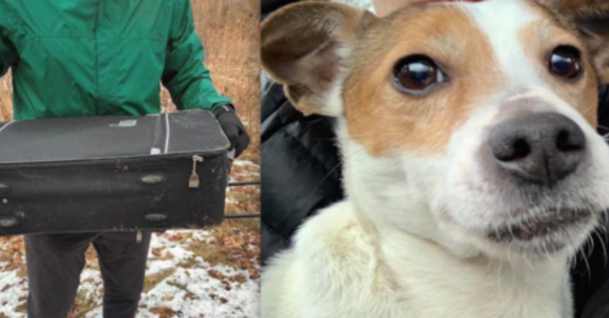 Dog Rescued from Snowy Park After Being Abandoned in a Suitcase