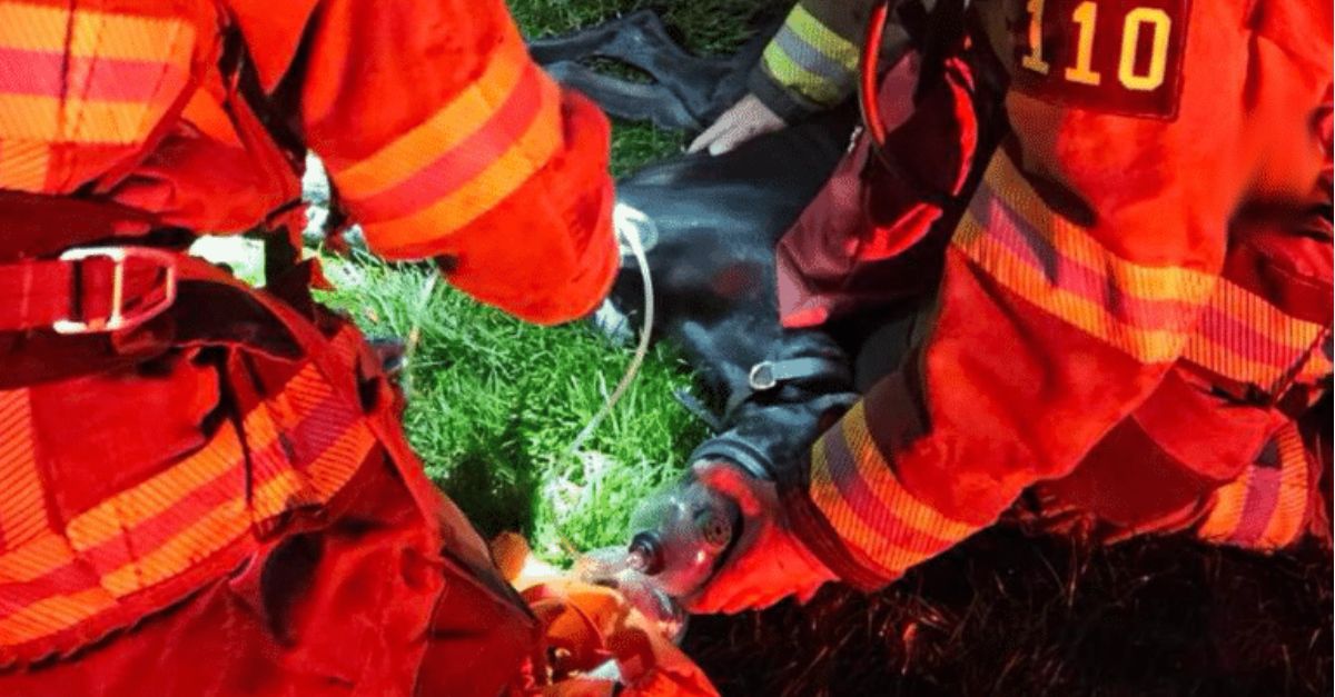 Firefighters Rescue Unresponsive Puppy from House Fire, Perform CPR to Save Him