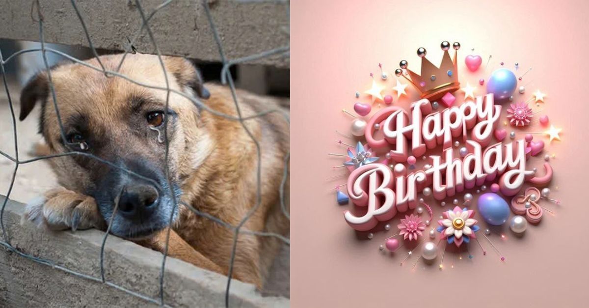 He lives alone in a shelter and no one remembers it’s his birthday today