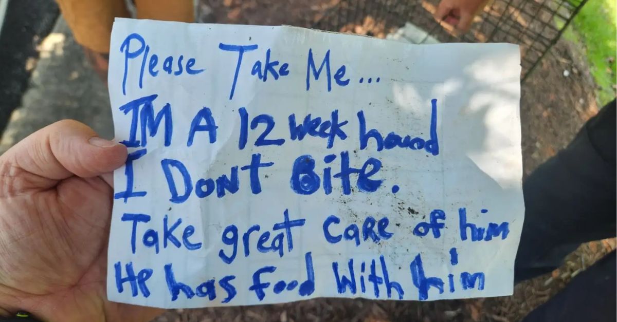 Rescuer Finds Wire Crate on Road — Discovers Someone Trapped Inside with a Note