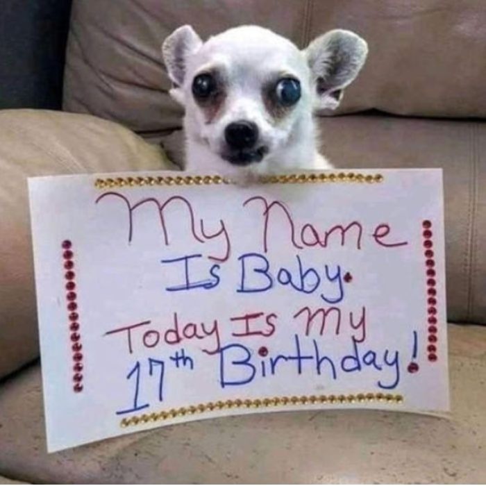 My name is Baby, Today is my 17th birthday, hope to receive everyone’s wishes