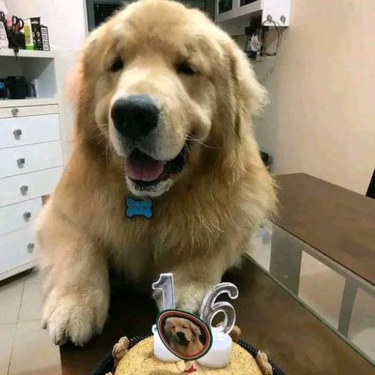 Today is my birthday and I have my first cake, hope to receive everyone’s wishes