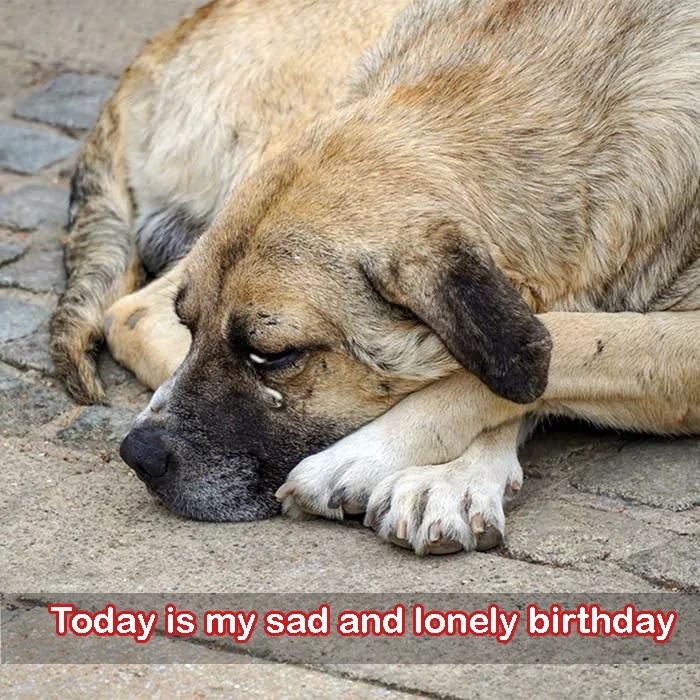 A Sad and Lonely Birthday: I Didn’t Receive Any Gifts or Wishes