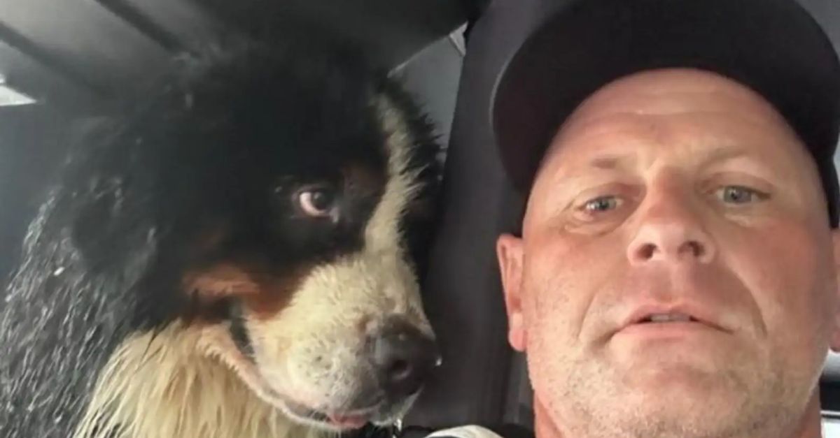 Dog’s Expressive Eyes Speak Volumes After Being Rescued From Hurricane Floodwaters