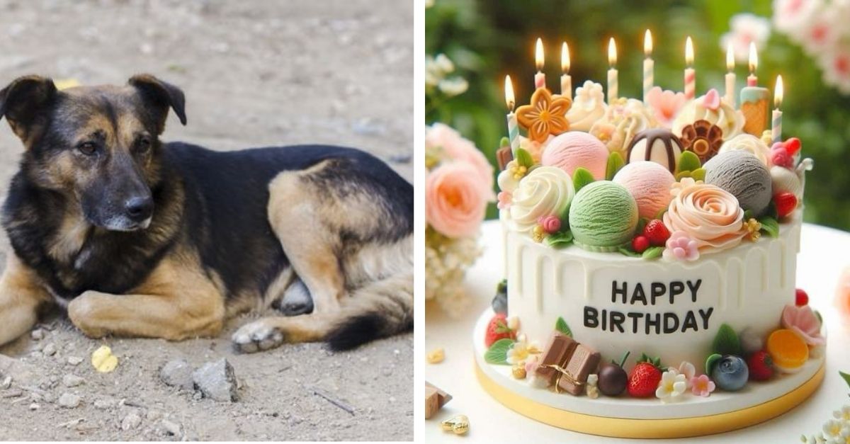 The only thing he wanted for his birthday was to be found by the rescue team