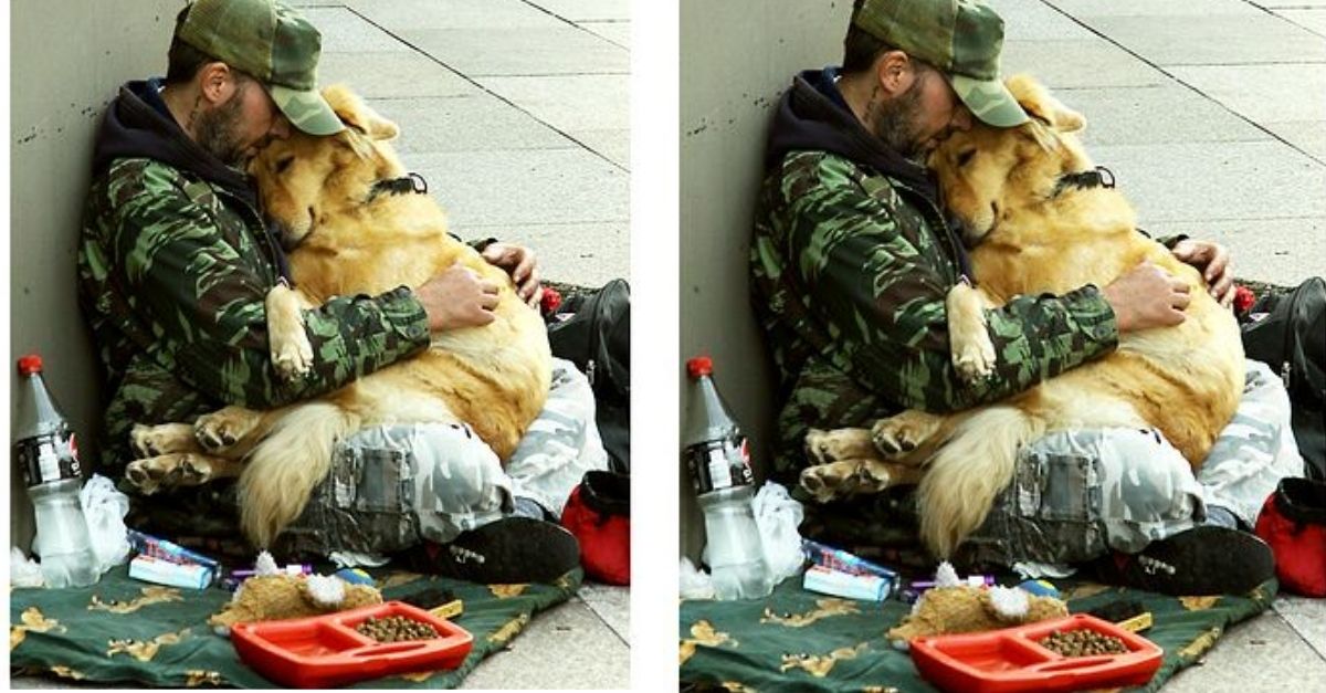 Touching image of soldier warming his homeless dog on a street corner