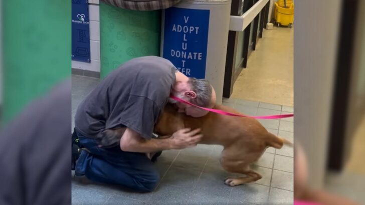 Happiness bursts when this cancer patient is once again able to live next to his dog after a period of separation due to treatment