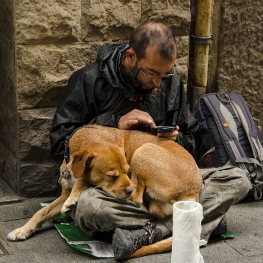 This dog is always by his owner’s side even though he is just a poor homeless person