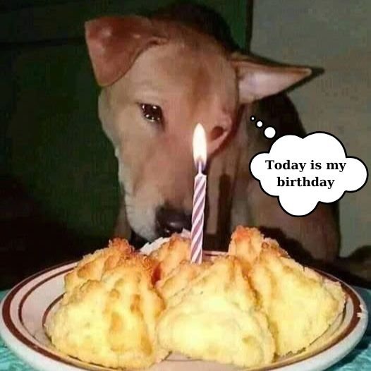 My first proper birthday, happy birthday to me, hope to receive everyone’s wishes