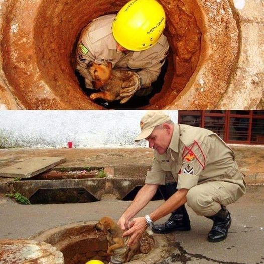 These rescuers successfully rescued a puppy that was trapped in a 3-meter deep sewer