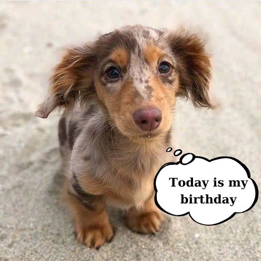 Today is my birthday, I was abandoned by my mother so I just hope to receive good wishes from everyone