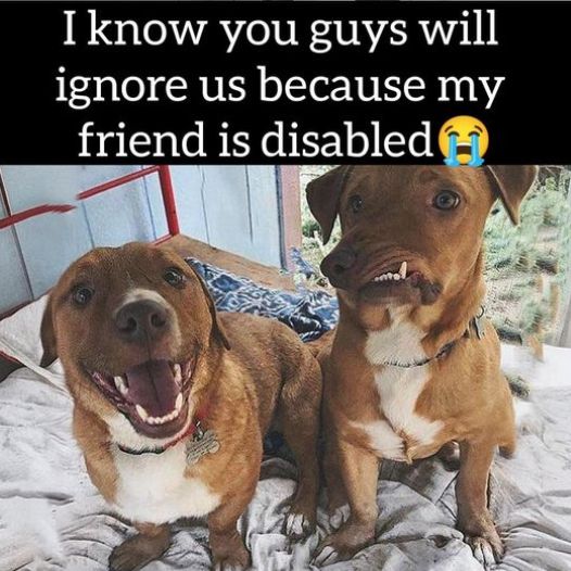 I know people will stay away from us just because my friend is disabled, right?