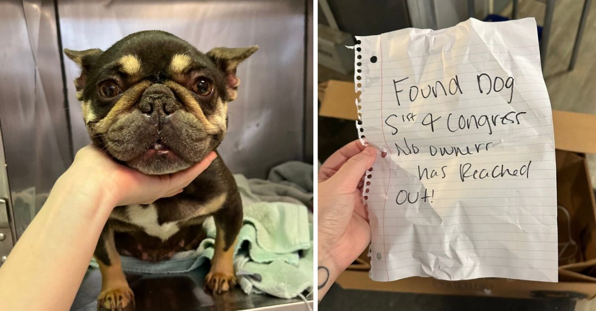 A rescue team in Texas arrived at their workplace and found a cardboard box containing an adorable puppy abandoned there along with a note