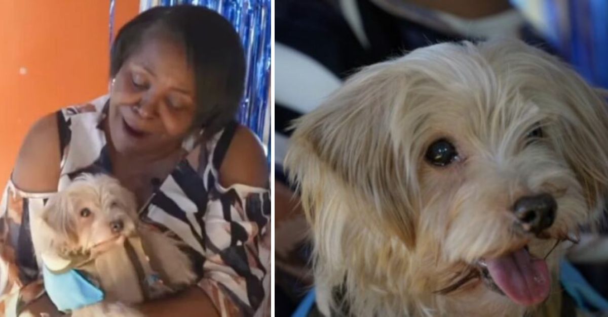A woman expressed immense joy upon reuniting with her dog, who had been missing for eleven years