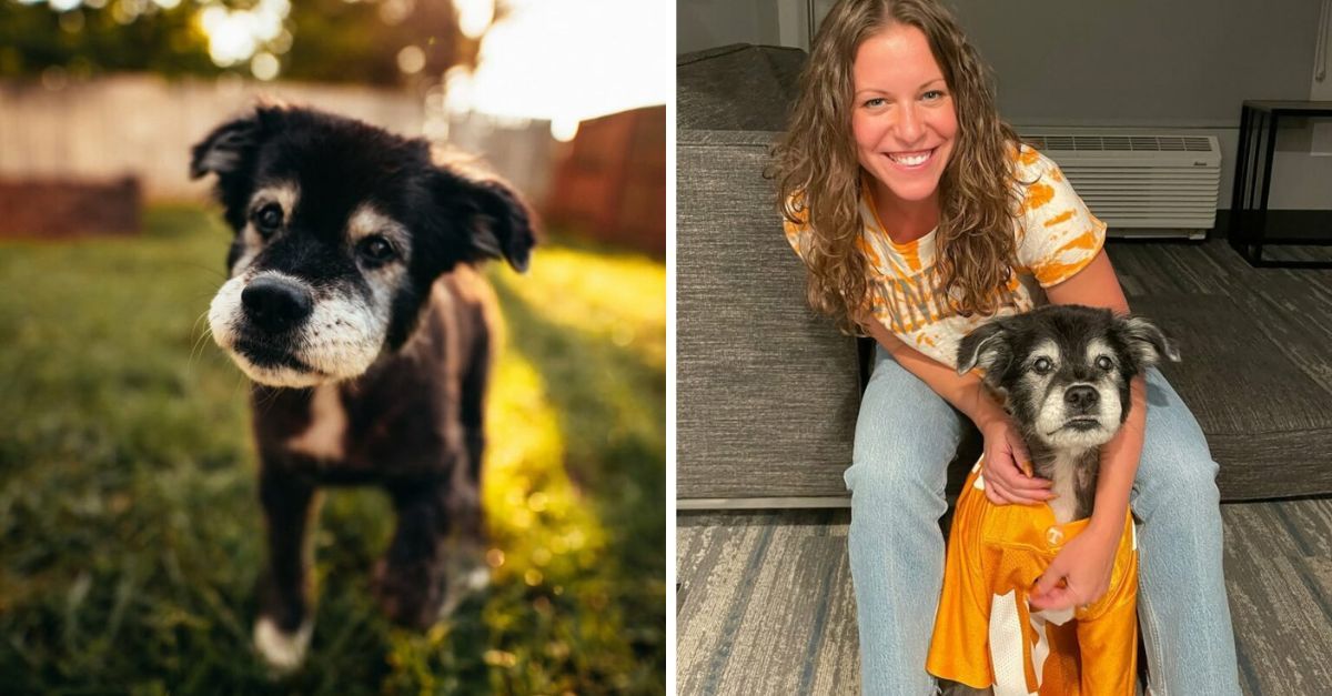 A Woman Feeds Her Old Dog ‘Banned’ Leftover Pasta, And The Explanation Will Make You Cry