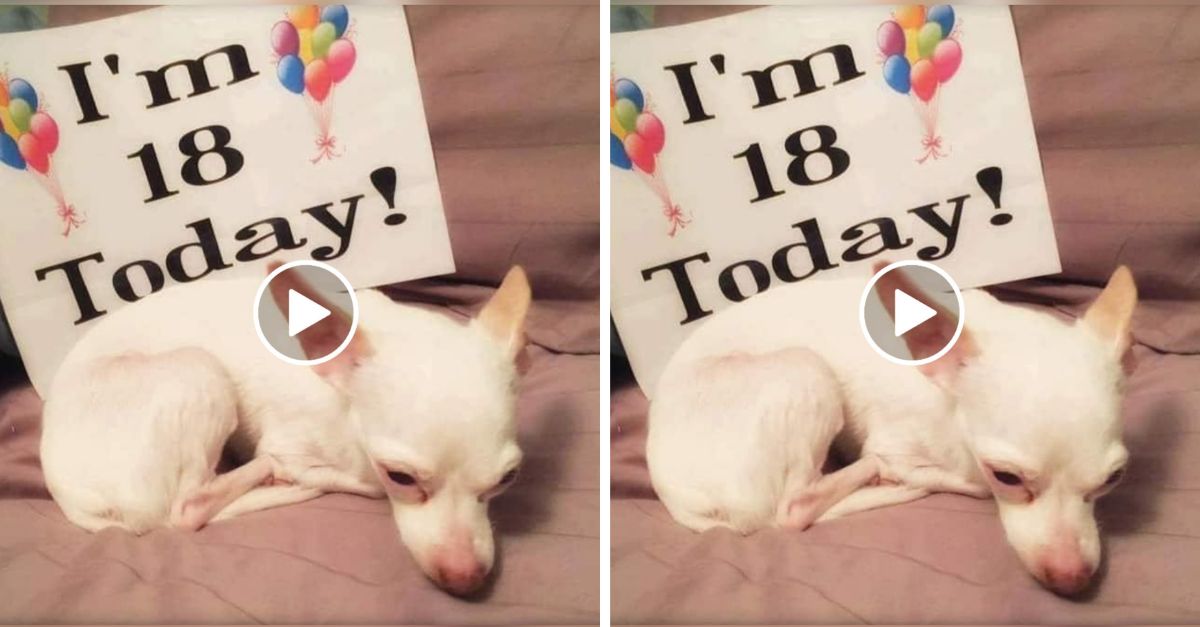 I turned 18 today, but I still don’t feel happy. No one sent me birthday wishes