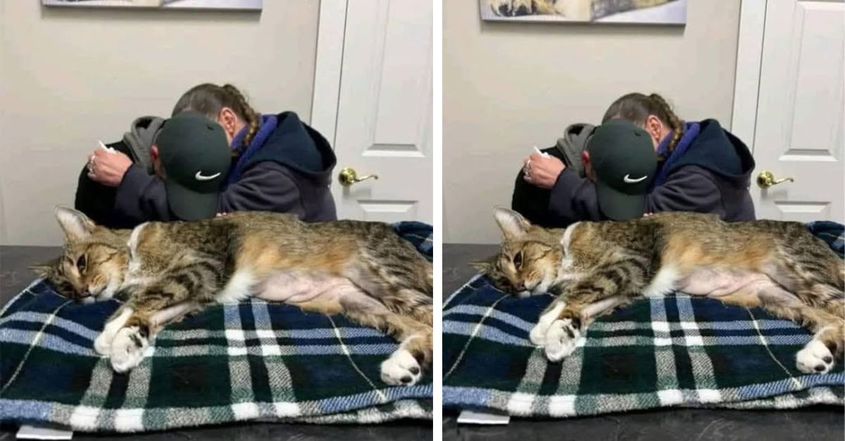 We had to euthanize my 18-year-old Gigi… we are still heartbroken